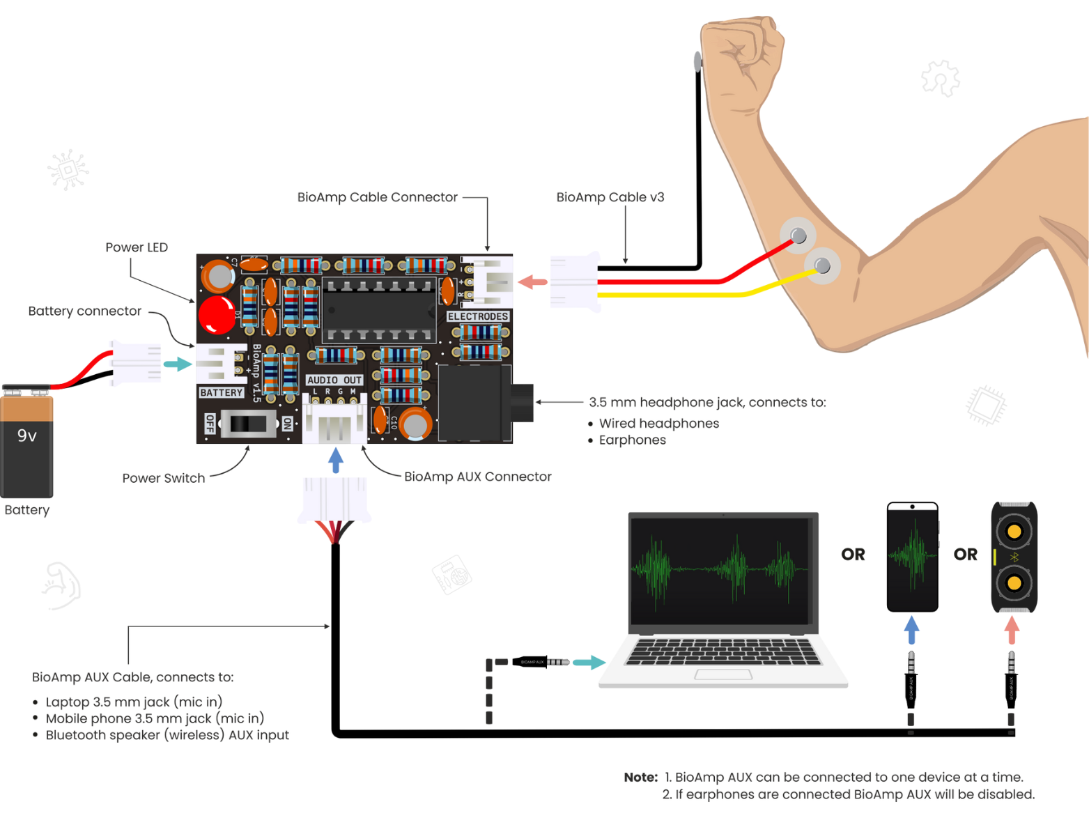 ../../../_images/bioamp-v1-5-connections.png