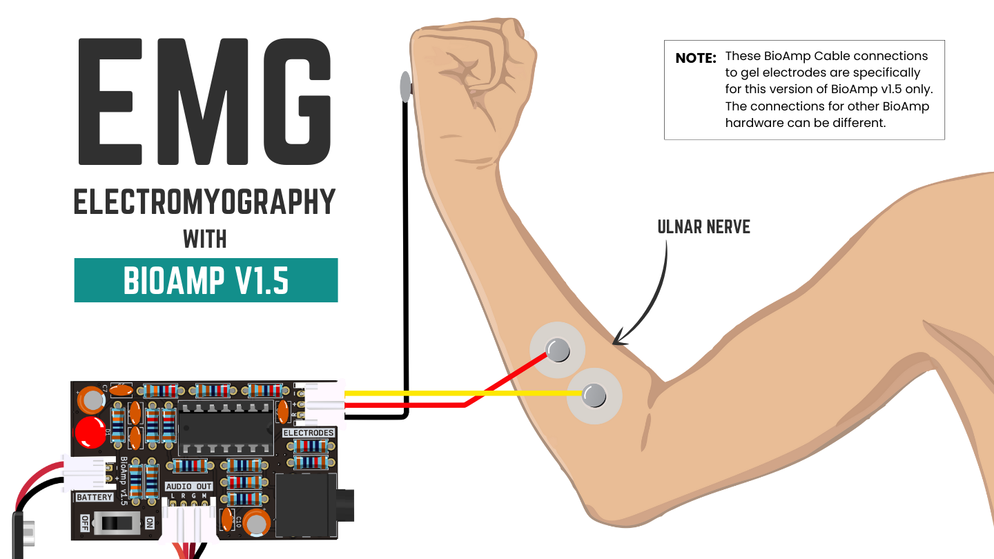 ../../../_images/bioamp-v1-5-emg.png