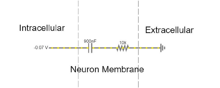 ../../_images/capacitor_membrane.png