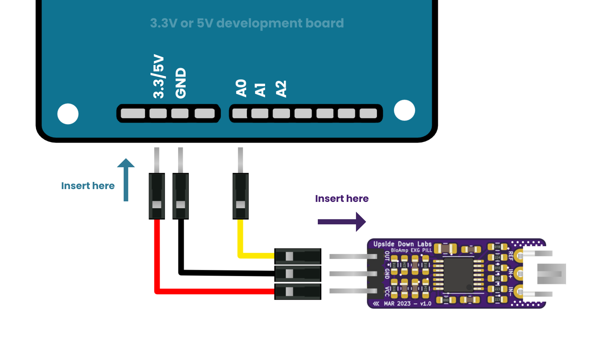 connections with the development board